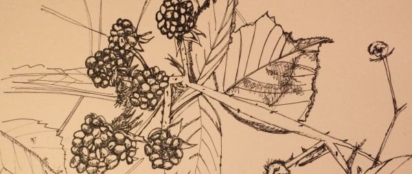 #LoveToDraw Ireland
