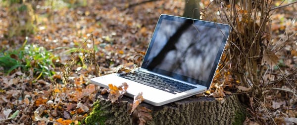 Remote Working