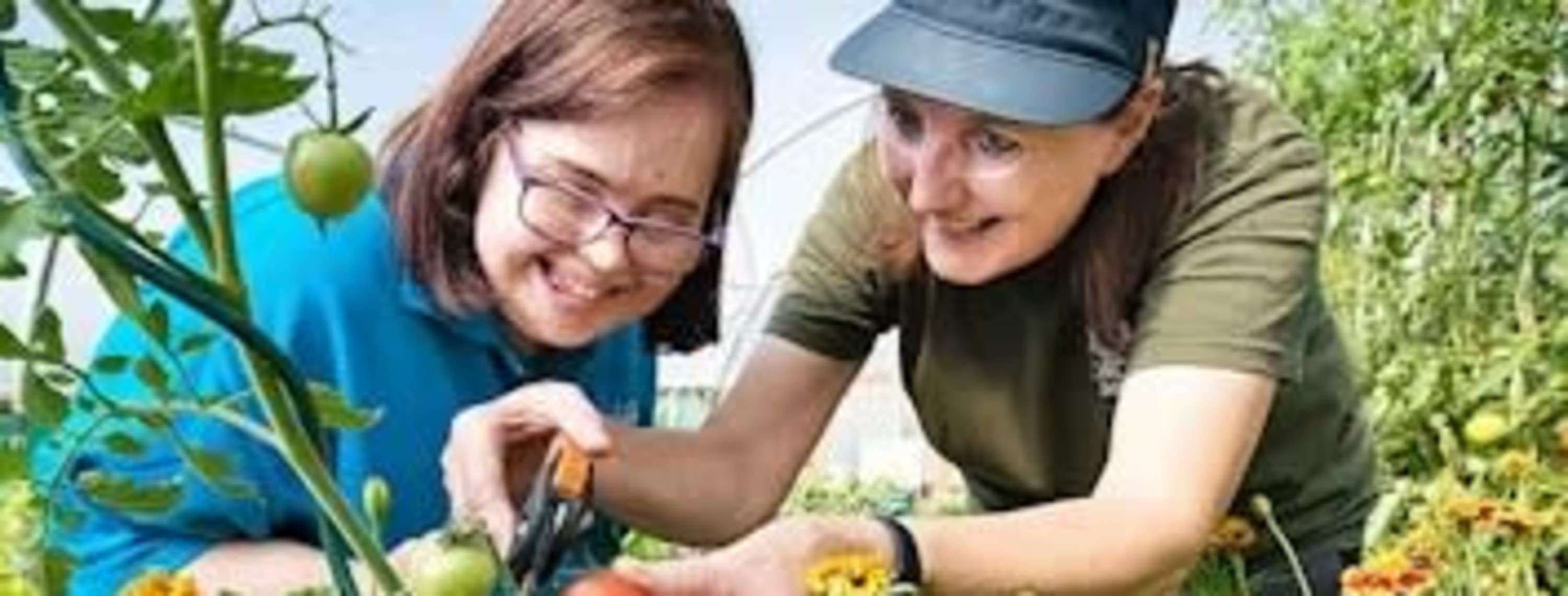 National Lottery Awards for All England – Environment fund