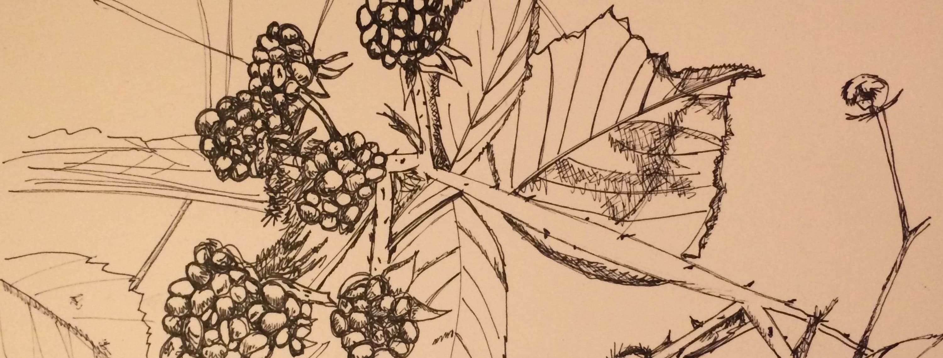 #LoveToDraw Ireland