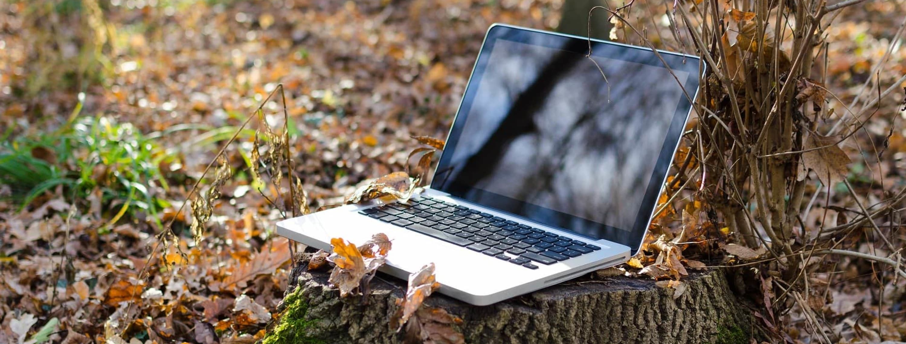 Remote Working
