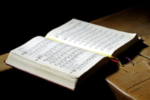 Meantime Chorus